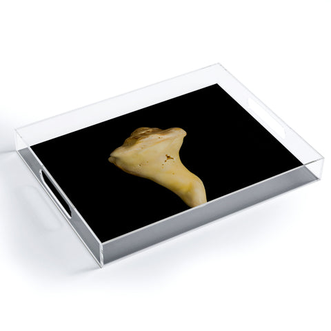 PI Photography and Designs States of Erosion 8 Acrylic Tray