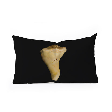 PI Photography and Designs States of Erosion 8 Oblong Throw Pillow