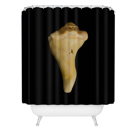 PI Photography and Designs States of Erosion 8 Shower Curtain