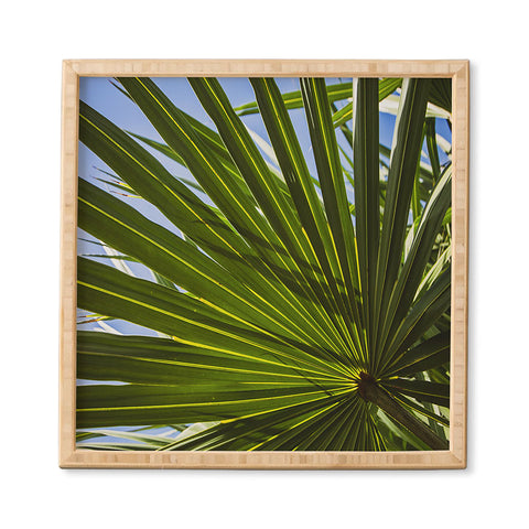 PI Photography and Designs Wide Palm Leaves Framed Wall Art