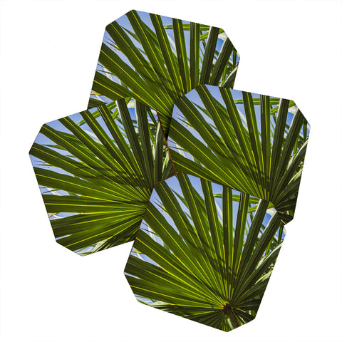PI Photography and Designs Wide Palm Leaves Coaster Set