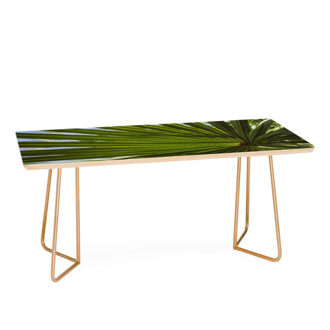 PI Photography and Designs Wide Palm Leaves Coffee Table