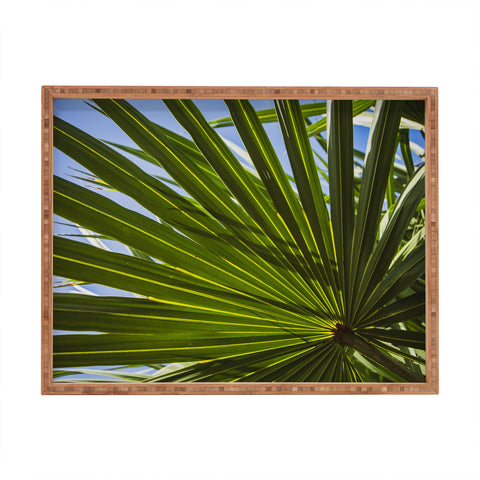 PI Photography and Designs Wide Palm Leaves Rectangular Tray