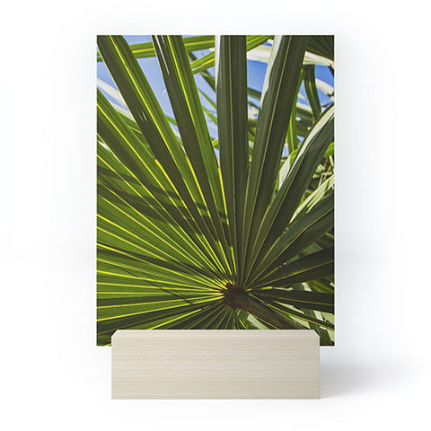 PI Photography and Designs Wide Palm Leaves Mini Art Print