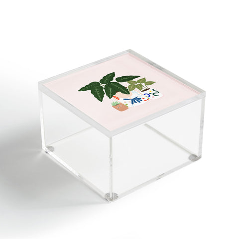 Rhianna Marie Chan Potted Acrylic Box