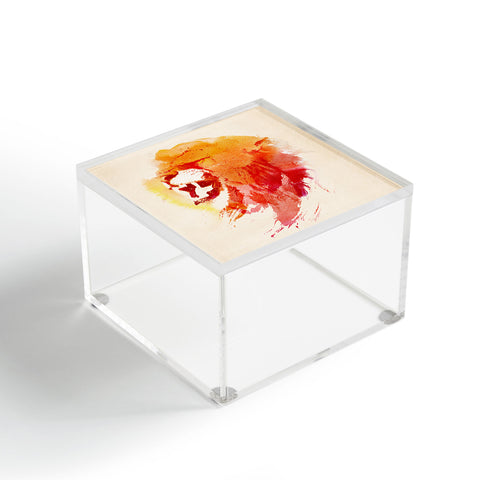 Robert Farkas Angry Lion Acrylic Box