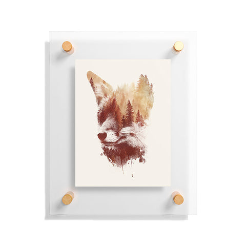 Robert Farkas Blind Fox Floating Acrylic Print