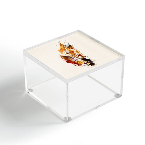 Robert Farkas El Guepardo Acrylic Box