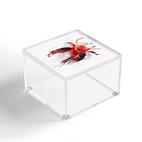 Robert Farkas Gold Fish Acrylic Box