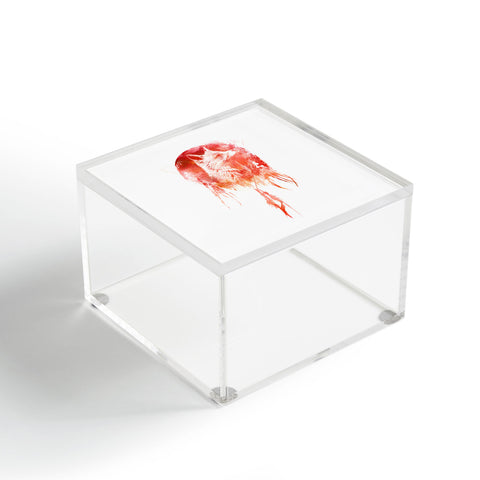 Robert Farkas Mars Acrylic Box