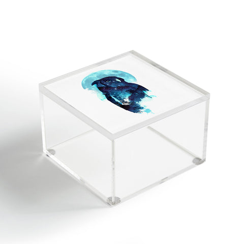 Robert Farkas Midnight Owl Acrylic Box