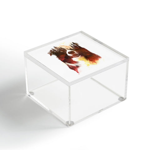 Robert Farkas One night in the forest Acrylic Box