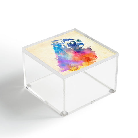 Robert Farkas Sunny Leo Acrylic Box