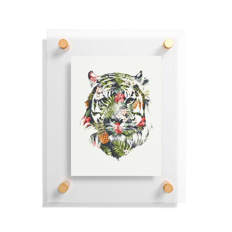 Robert Farkas Tropical tiger Floating Acrylic Print