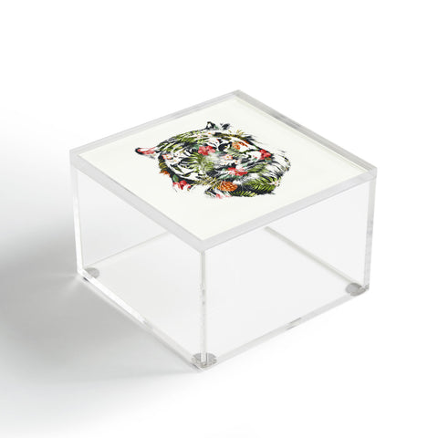 Robert Farkas Tropical tiger Acrylic Box