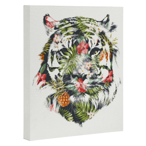 Robert Farkas Tropical tiger Art Canvas