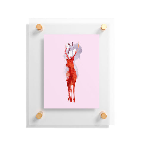 Robert Farkas Useless Deer Floating Acrylic Print