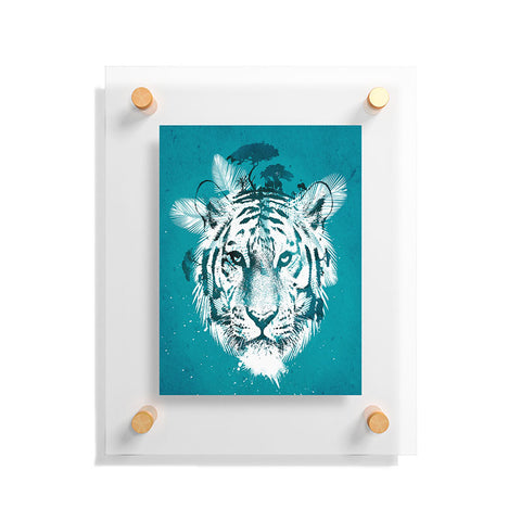 Robert Farkas White Tiger Floating Acrylic Print
