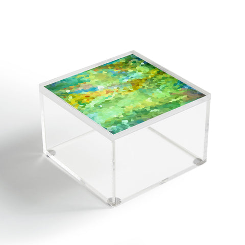Rosie Brown Crystalline Acrylic Box