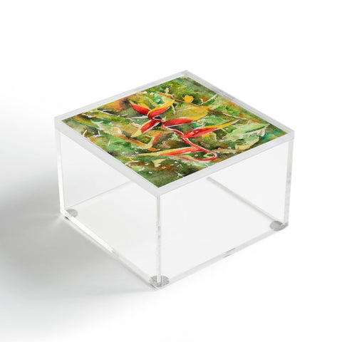 Rosie Brown Heliconia Acrylic Box