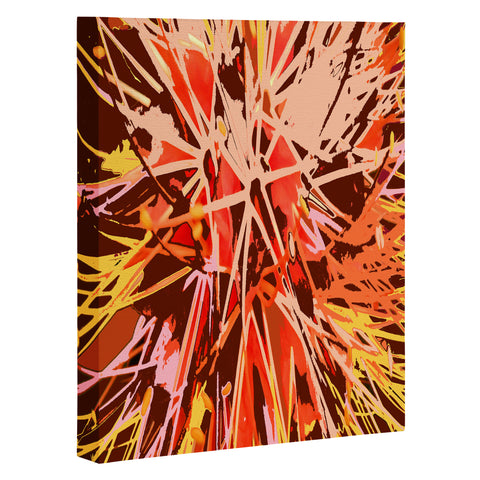 Rosie Brown Natures Fireworks Art Canvas