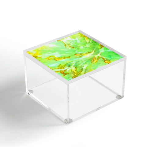 Rosie Brown Neon Sea Coral Acrylic Box