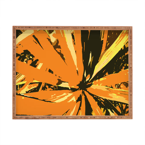 Rosie Brown Orange Bromeliad Rectangular Tray