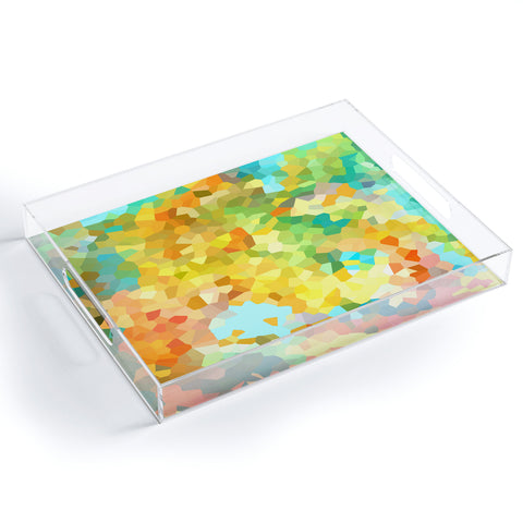 Rosie Brown Splattered Paint Acrylic Tray