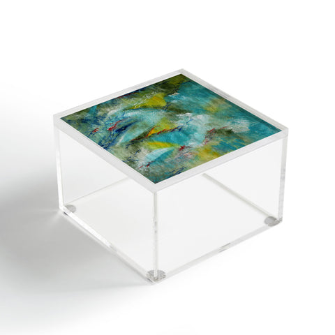 Rosie Brown The islands Acrylic Box