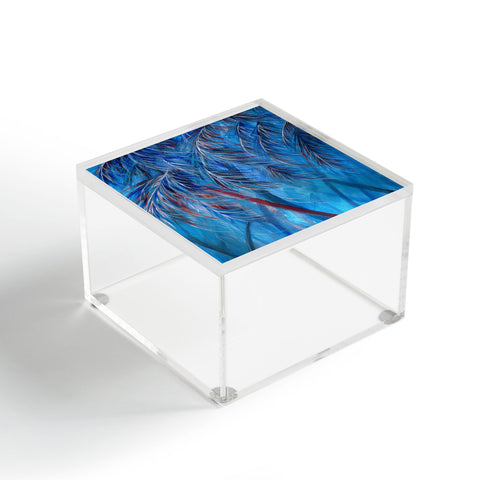 Rosie Brown Tropical Blues Acrylic Box