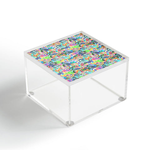 Ruby Door Rainbow Zebras Acrylic Box