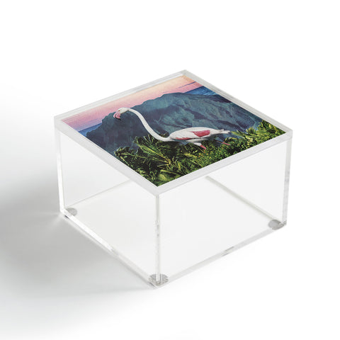 Sarah Eisenlohr Flamingo I Acrylic Box