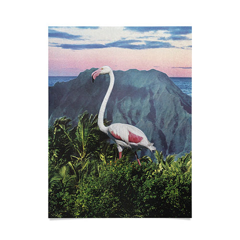 Sarah Eisenlohr Flamingo I Poster