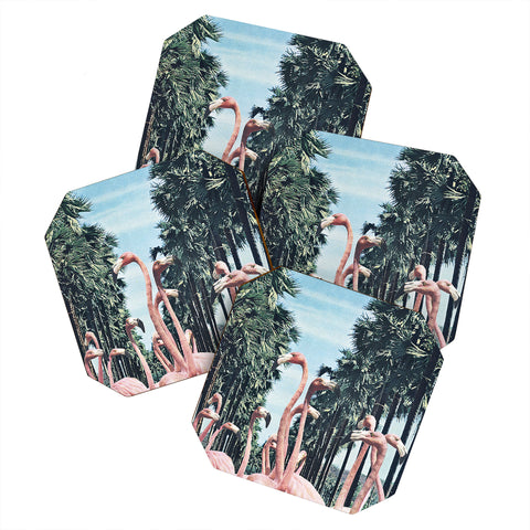 Sarah Eisenlohr Palm Trees Flamingos Coaster Set