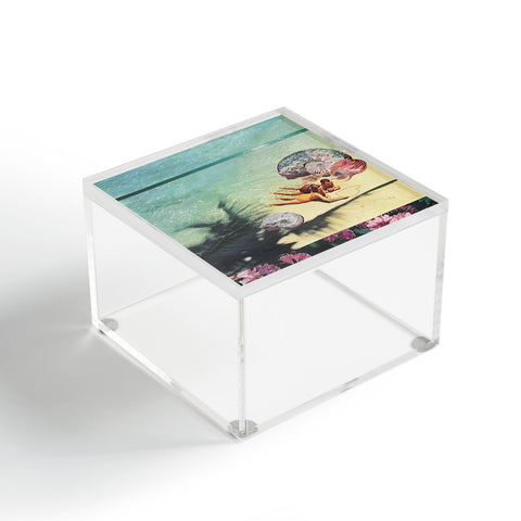 Sarah Eisenlohr Sea Collections Acrylic Box