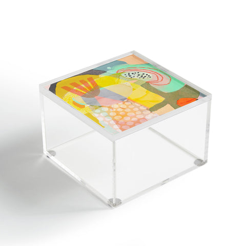 Sewzinski Birdbrain Acrylic Box