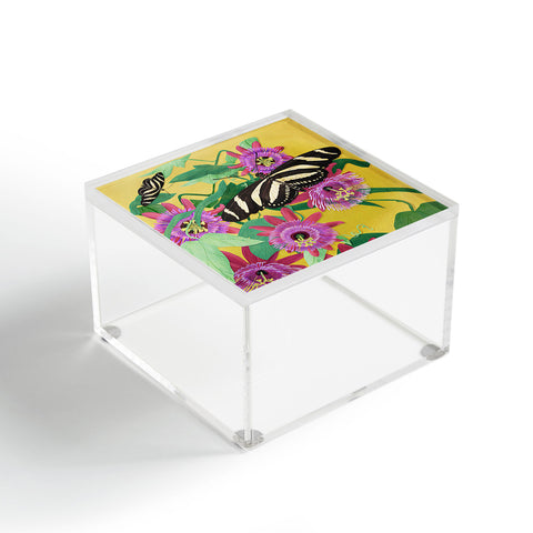 Sewzinski Butterflies on Passion Flowers Acrylic Box