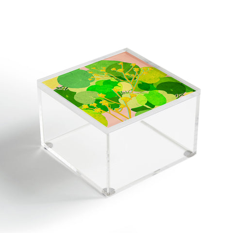 Sewzinski Leopard Plant Acrylic Box
