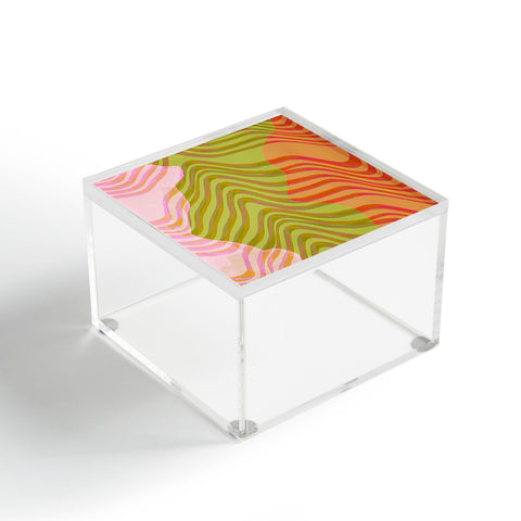 Sewzinski New Topography Acrylic Box