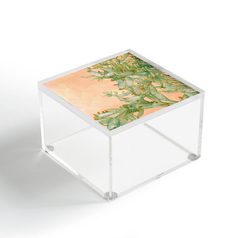 Sewzinski Opuntia Acrylic Box