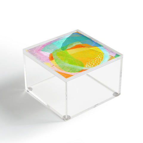 Sewzinski Photosynthesis Acrylic Box