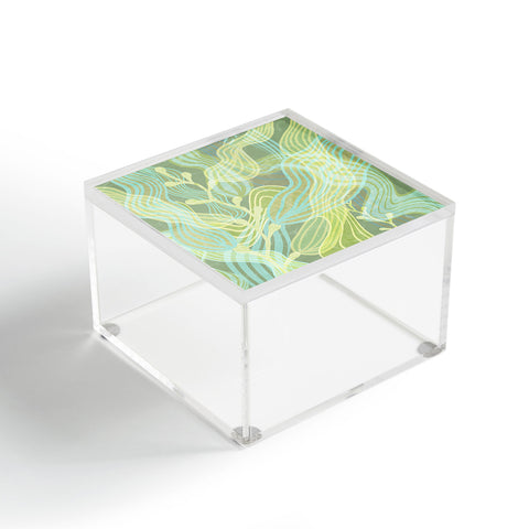 Sewzinski Sea Kelp Forest Acrylic Box