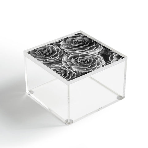 Shannon Clark Black and White Succulents Acrylic Box
