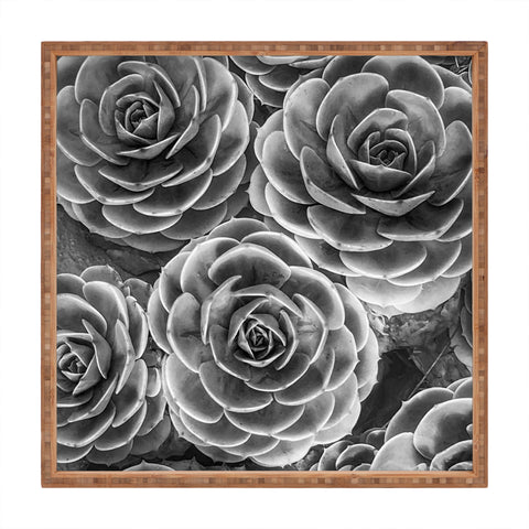 Shannon Clark Black and White Succulents Square Tray