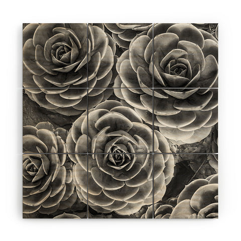 Shannon Clark Black and White Succulents Wood Wall Mural