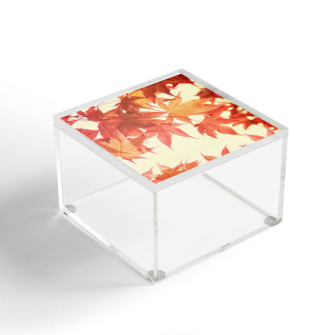 Shannon Clark Fall Glow Acrylic Box