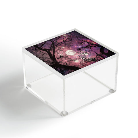 Shannon Clark Fantasy Forest Acrylic Box