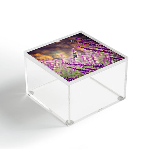 Shannon Clark Hummingbird 2 Acrylic Box