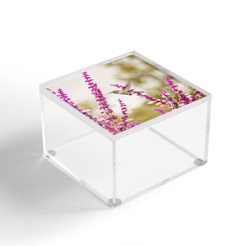 Shannon Clark Hummingbird 3 Acrylic Box