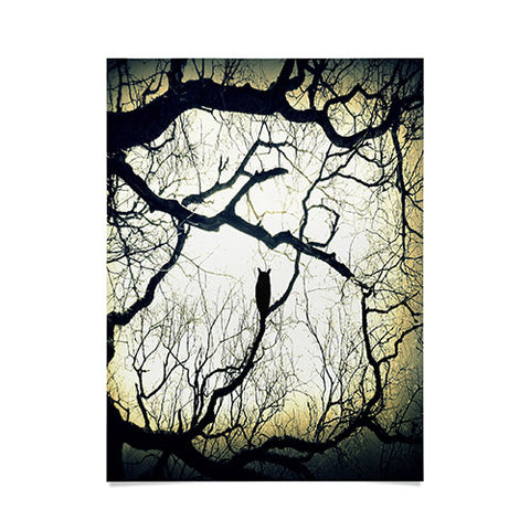 Shannon Clark Mysterious Woods Poster